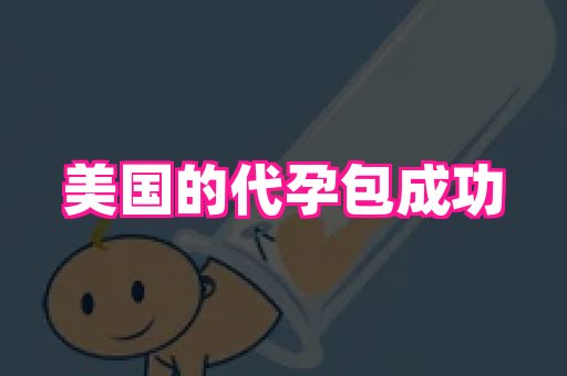 swisee孕网 2