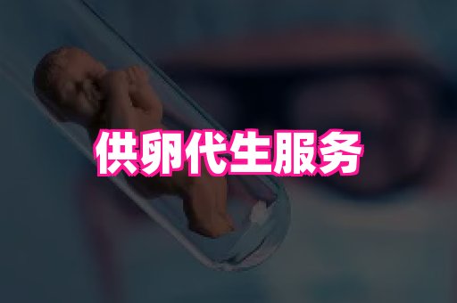 swisee孕网 3