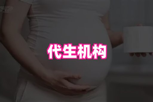 swisee孕网 4